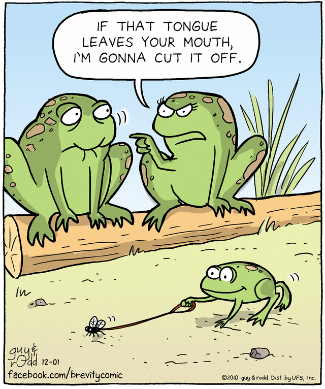brevity